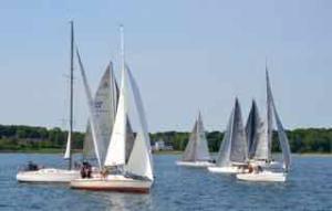 Fyn rundt - 187 von 228