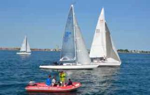 Fyn rundt - 201 von 228